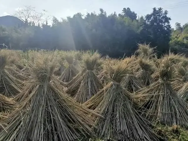 核污水贵州_贵州污水处理_贵州污水厂